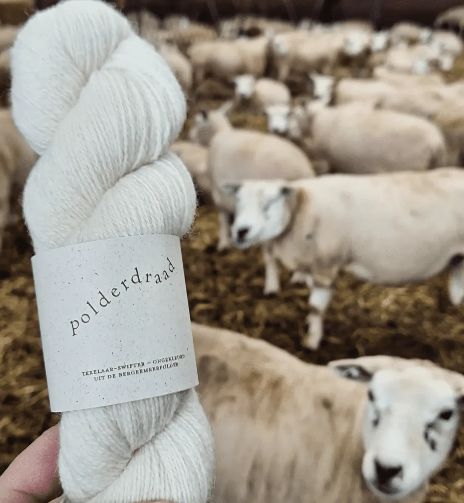 Kijk nou toch! Dichter bij de bron kom je niet. 🐑🧶