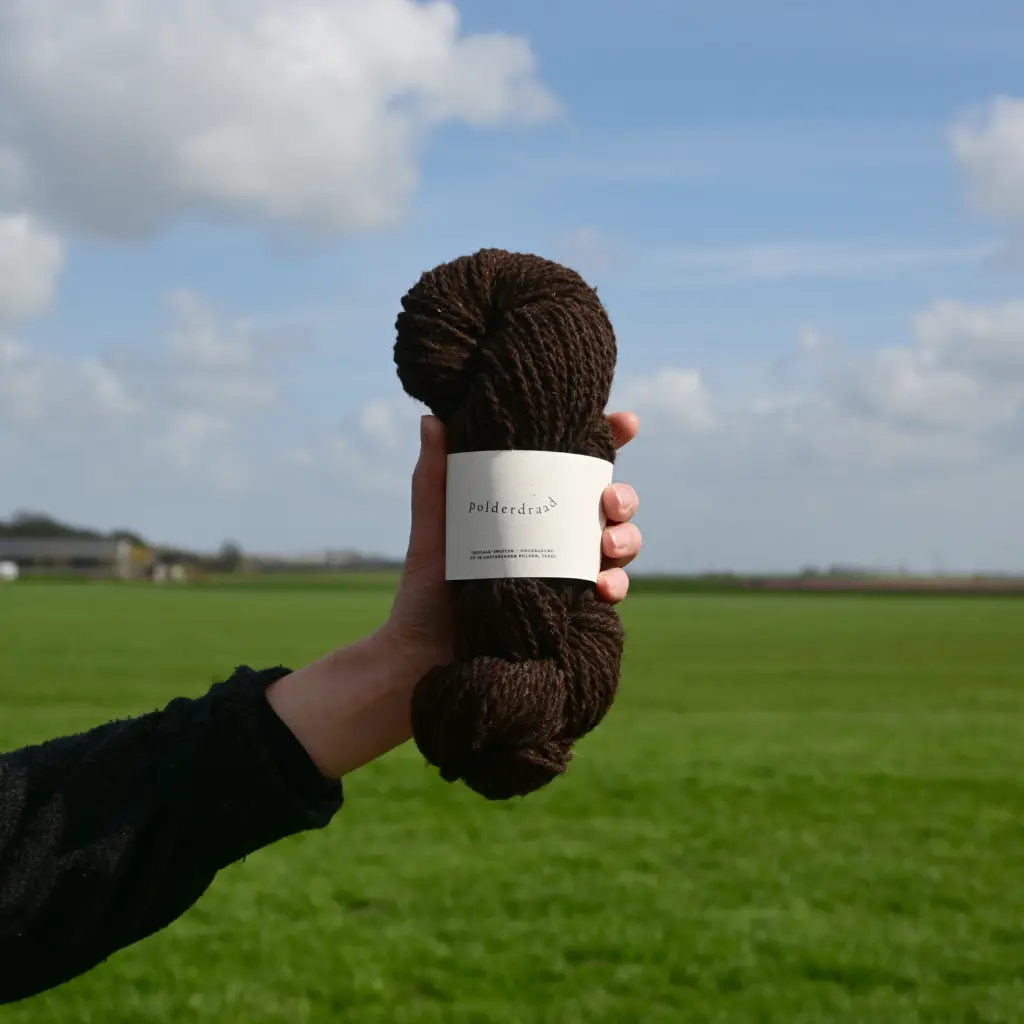 Oosterend - Rietsigaar