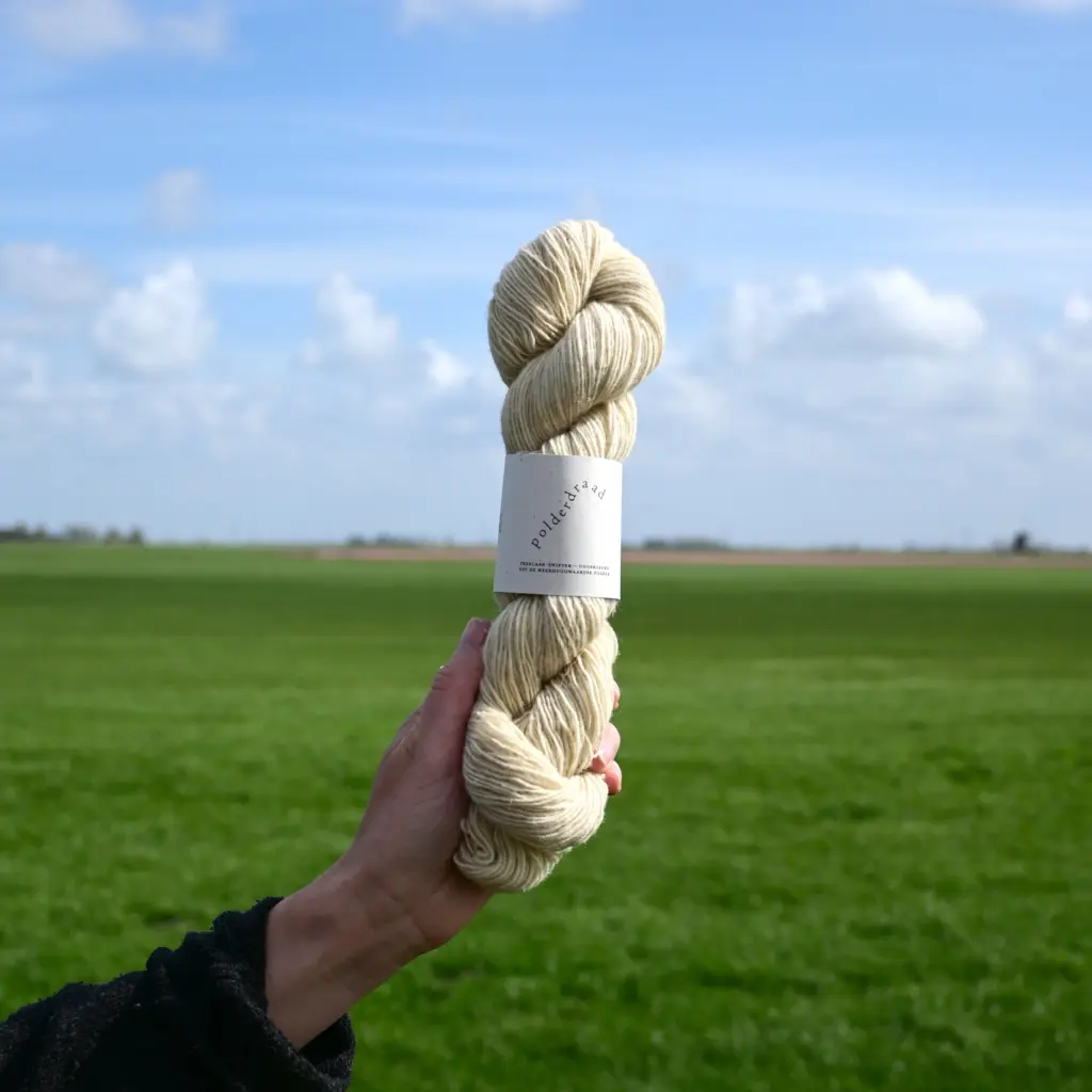 Heerhugowaard - Kamille